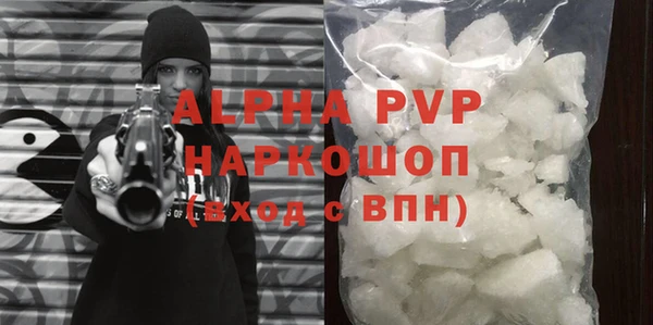 шишки Медвежьегорск