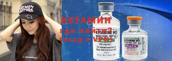 шишки Медвежьегорск