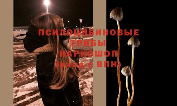 шишки Мегион