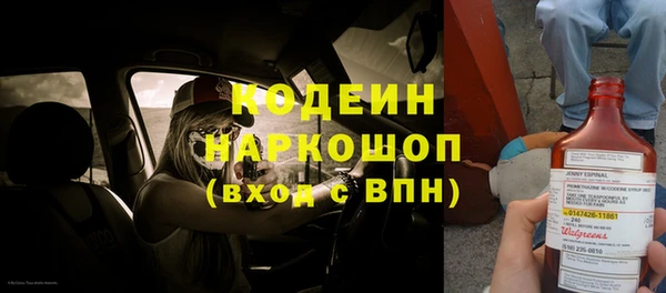 шишки Мегион