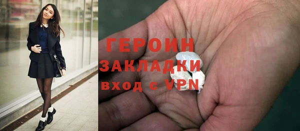 шишки Медвежьегорск
