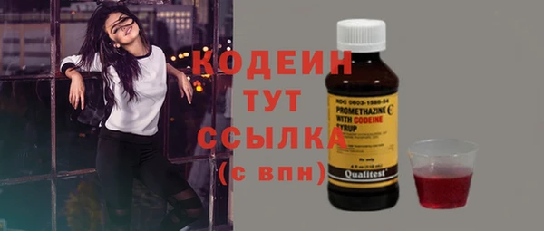 шишки Медвежьегорск