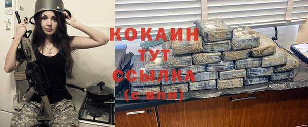 шишки Медвежьегорск