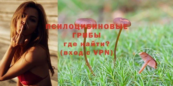 шишки Мегион