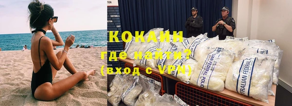 шишки Медвежьегорск