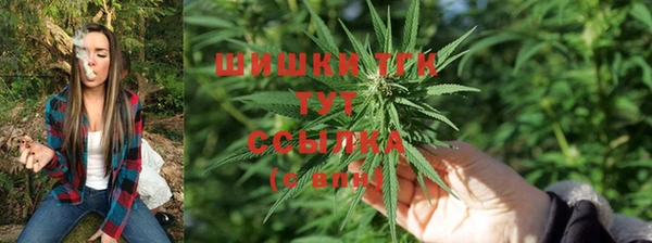 шишки Мегион