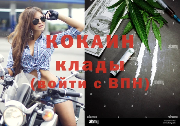 амф Артём